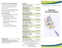 Selective Nerve Root Block