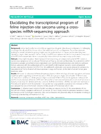 Elucidating the Transcriptional Program of Feline Injection-Site Sarcoma Using a Cross- Species Mrna-Sequencing Approach Qi Wei1†, Stephen A
