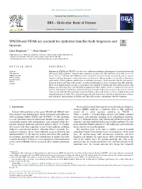 VPS33B and VIPAR Are Essential for Epidermal Lamellar Body Biogenesis