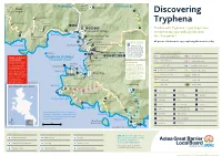 Discovering Tryphena