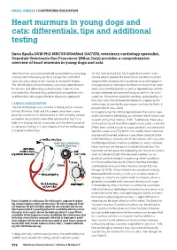 Heart Murmurs in Young Dogs and Cats: Differentials, Tips and Additional Testing