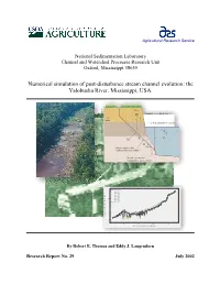 Numerical Simulation of Post-Disturbance Stream Channel Evolution: the Yalobusha River, Mississippi, USA