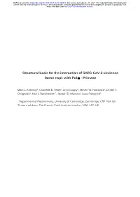 Structural Basis for the Interaction of SARS-Cov-2 Virulence Factor Nsp1 with Pol � - Primase