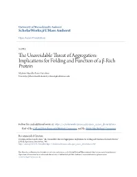 The Unavoidable Threat of Aggregation: Implications for Folding and Function of a Β-Rich Protein