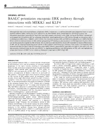 BAALC Potentiates Oncogenic ERK Pathway Through Interactions with MEKK1 and KLF4