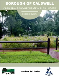 Open Space and Recreation Plan Update