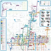 YRT-System Map-Web