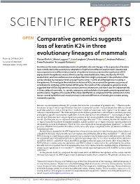 Comparative Genomics Suggests Loss of Keratin K24 in Three Evolutionary