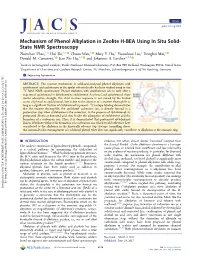 Mechanism of Phenol Alkylation in Zeolite H-BEA Using in Situ