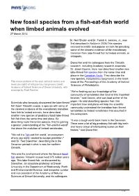 New Fossil Species from a Fish-Eat-Fish World When Limbed Animals Evolved 27 March 2013