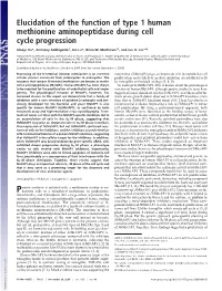 Elucidation of the Function of Type 1 Human Methionine Aminopeptidase During Cell Cycle Progression
