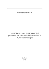 Landscape Processes Underpinning Bird Persistence and Avian-Mediated Pest Control in Fragmented Landscapes