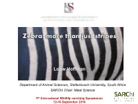 Zebra: More Than Just Stripes