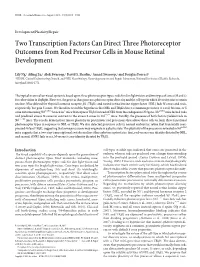 Two Transcription Factors Can Direct Three Photoreceptor Outcomes from Rod Precursor Cells in Mouse Retinal Development