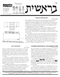 2008 Main Newsletter