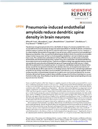Pneumonia-Induced Endothelial Amyloids Reduce Dendritic Spine Density in Brain Neurons Allison M