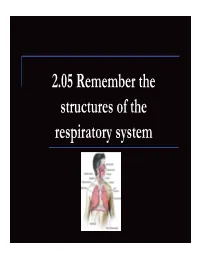 2.05 Remember the Structures of the Respiratory System 2.05 Remember the Structures of the Respiratory System