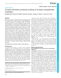 A Basal Cell Defect Promotes Budding of Prostatic Intraepithelial Neoplasia Mengdie Wang1, Raymond B