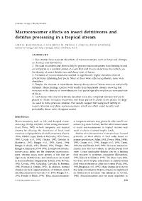 Macroconsumer Effects on Insect Detritivores and Detritus Processing in a Tropical Stream