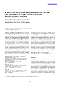 Comparative Metagenomic Analysis of Microcosm Structures and Lignocellulolytic Enzyme Systems of Symbiotic Biomass-Degrading Consortia