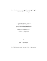 Characterization of the Stemphylium Blight Pathogens and Their Effect on Lentil Yield
