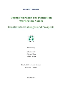 Decent Work for Tea Plantation Workers in Assam Constraints