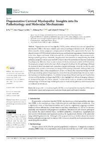 Degenerative Cervical Myelopathy: Insights Into Its Pathobiology and Molecular Mechanisms