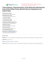 Transcriptomic Characterisation of the Molecular Mechanisms Induced by Rgma During Skeletal Muscle Hyperplasia and Hypertrophy