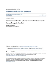 A Noncanonical Function of the Telomerase RNA Component in Human Embryonic Stem Cells