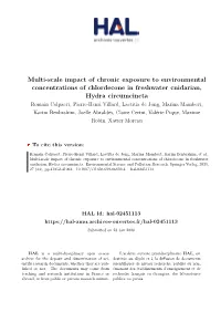 Multi-Scale Impact of Chronic Exposure to Environmental Concentrations Of