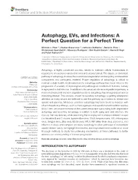 Autophagy, Evs, and Infections: a Perfect Question for a Perfect Time