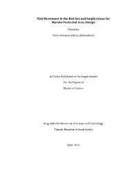 Fish Movement in the Red Sea and Implications for Marine Protected Area Design