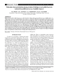 Molecular Characterization Among Strains of Chickpea Root Nodule Bacteria Isolated from Different Areas of Middle Gujarat
