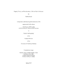 1965 and Now in Indonesia by Martha Stroud a Dissertation Submitted In