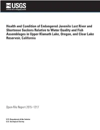 Health and Condition of Endangered Juvenile Lost River and Shortnose Suckers Relative to Water Quality and Fish Assemblages In