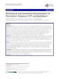 Biochemical and Functional Characterization of Plasmodium