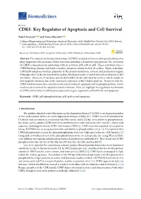 CDK5: Key Regulator of Apoptosis and Cell Survival