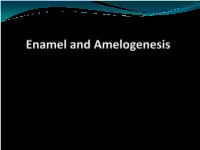 Enamel Lamellae ** Thin Leaf Like Structure, Extend from the Enamel Surface to a Considerable Distance in the Enamel Till DEJ , Sometimes Extend Into the Dentin