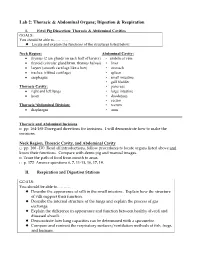 Lab 2: Thoracic & Abdominal Organs; Digestion & Respiration