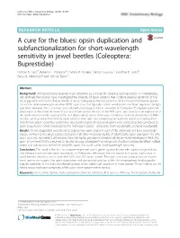 Opsin Duplication and Subfunctionalization for Short-Wavelength Sensitivity in Jewel Beetles (Coleoptera: Buprestidae) Nathan P