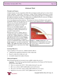Oxidase Test