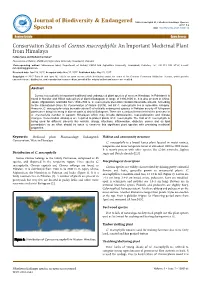 Conservation Status of Cornus Macrophylla