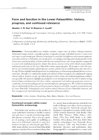 Form and Function in the Lower Palaeolithic: History, Progress, and Continued Relevance