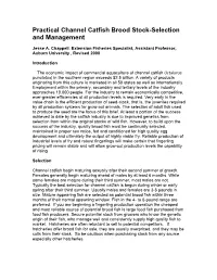 Practical Channel Catfish Brood Stock – Selection and Management