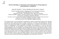 Seed Morphology in Thysanotus and Related Genera of Asparagaceae: Lomandroideae: Cordylineae