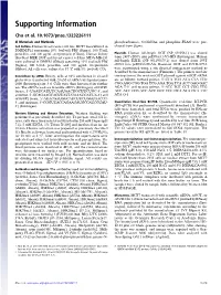 Supporting Information