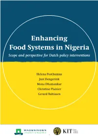 Enhancing Food Systems in Nigeria Scope and Perspective for Dutch Policy Interventions