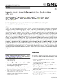 Expanded Diversity of Microbial Groups That Shape the Dissimilatory Sulfur Cycle