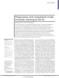 Phagocytosis and Comparative Innate Immunity: Learning on the Fly