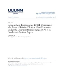 Discovery of the Essential Roles of CRK9 in Gene Expression and Of